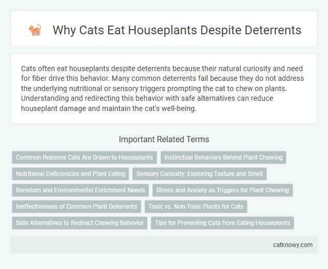 Why Cats Eat Houseplants Despite Deterrents