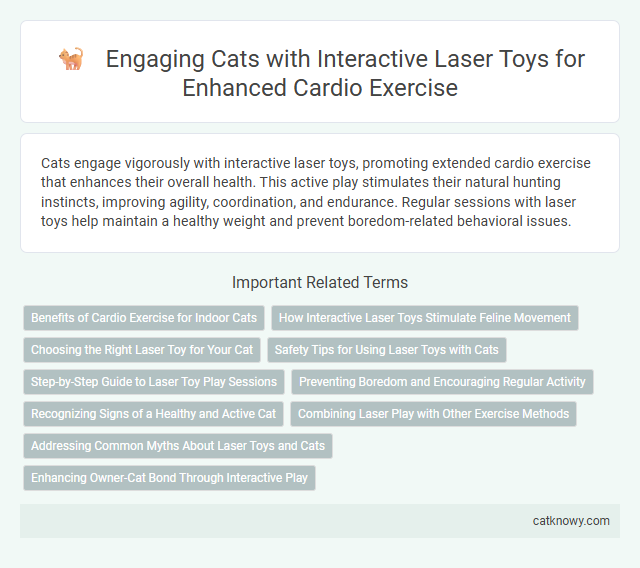 Engaging Cats with Interactive Laser Toys for Enhanced Cardio Exercise