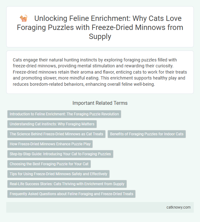 Unlocking Feline Enrichment: Why Cats Love Foraging Puzzles with Freeze-Dried Minnows from Supply