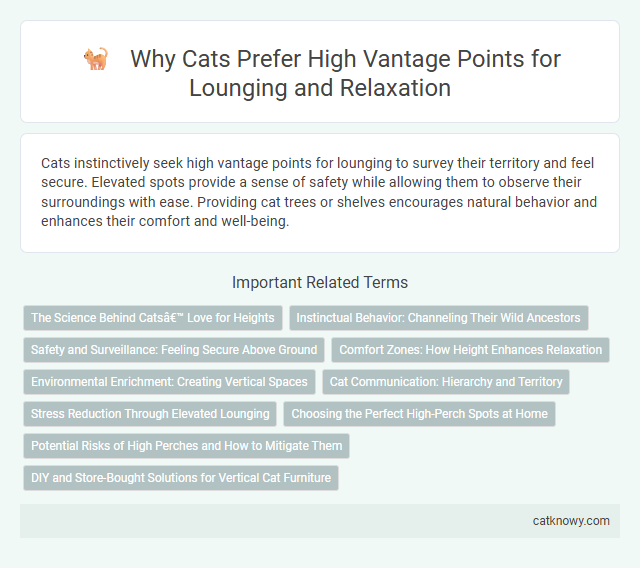 Why Cats Prefer High Vantage Points for Lounging and Relaxation