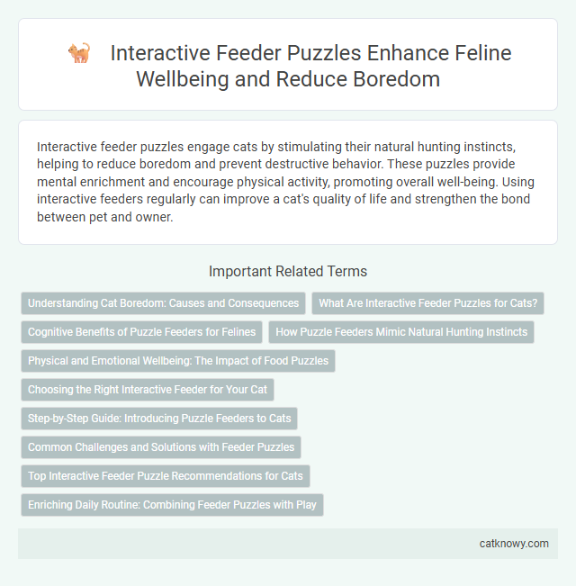 Interactive Feeder Puzzles Enhance Feline Wellbeing and Reduce Boredom