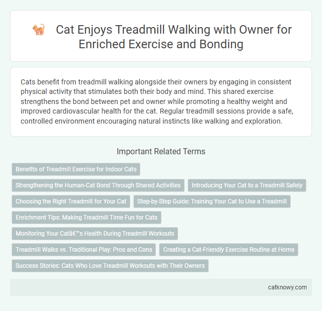 Cat Enjoys Treadmill Walking with Owner for Enriched Exercise and Bonding