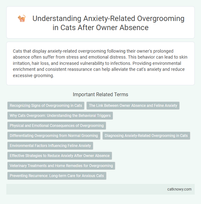 Understanding Anxiety-Related Overgrooming in Cats After Owner Absence