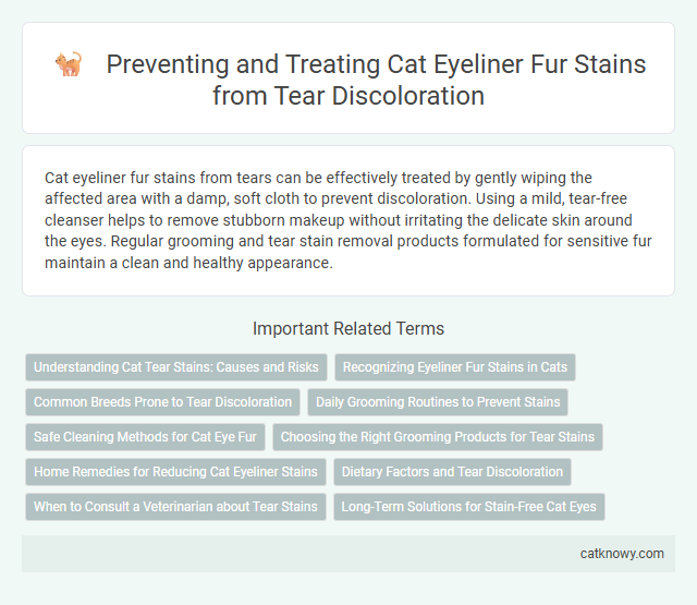 Preventing and Treating Cat Eyeliner Fur Stains from Tear Discoloration