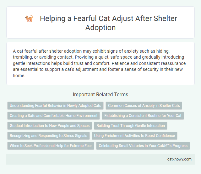 Helping a Fearful Cat Adjust After Shelter Adoption