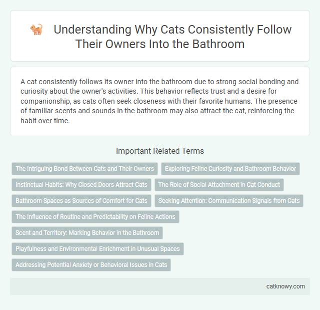 Understanding Why Cats Consistently Follow Their Owners Into the Bathroom