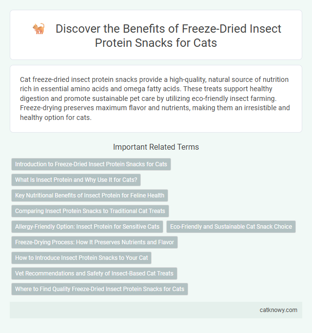 Discover the Benefits of Freeze-Dried Insect Protein Snacks for Cats