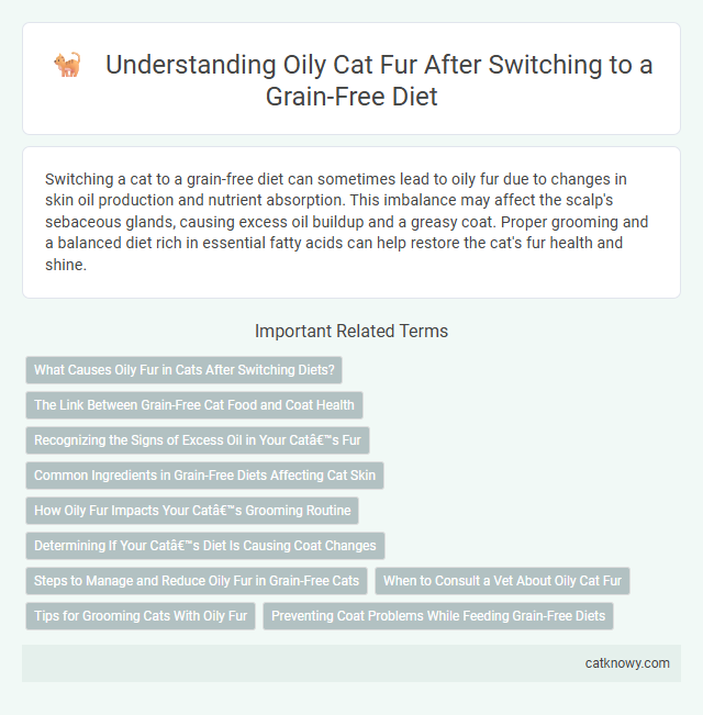 Understanding Oily Cat Fur After Switching to a Grain-Free Diet