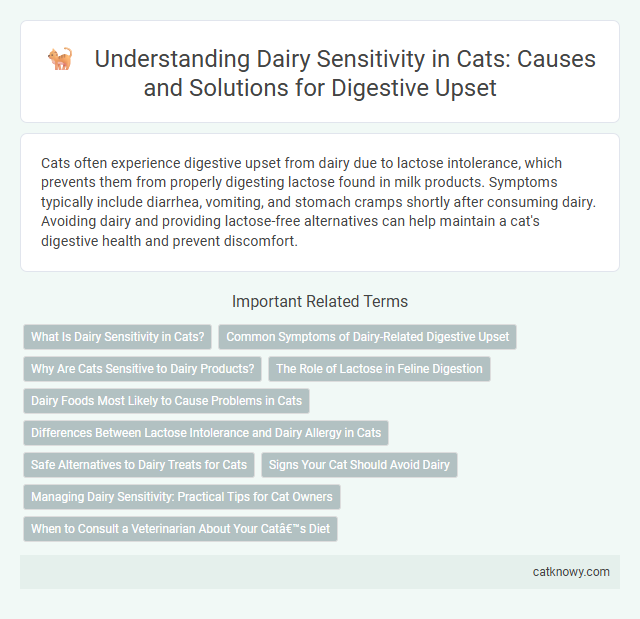 Understanding Dairy Sensitivity in Cats: Causes and Solutions for Digestive Upset