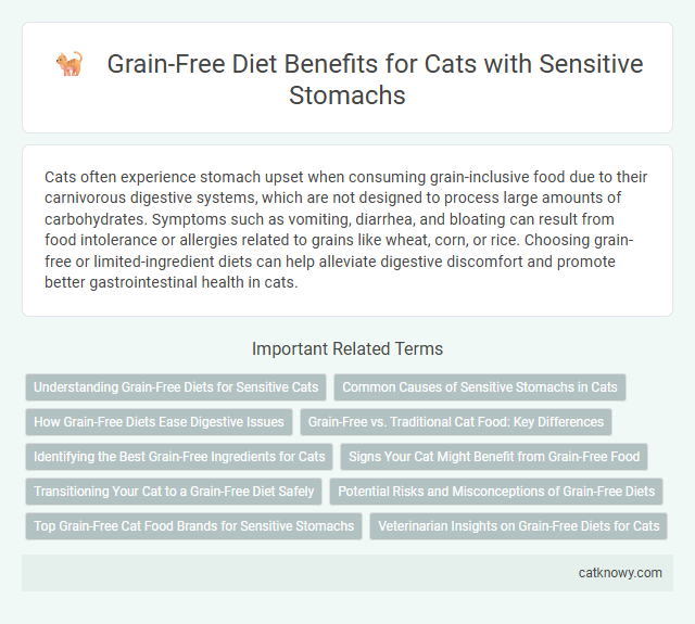 Grain-Free Diet Benefits for Cats with Sensitive Stomachs