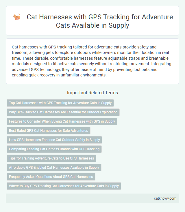 Cat Harnesses with GPS Tracking for Adventure Cats Available in Supply