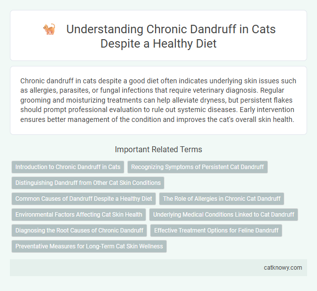 Understanding Chronic Dandruff in Cats Despite a Healthy Diet