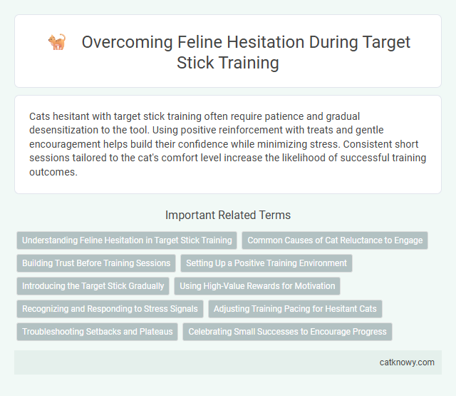 Overcoming Feline Hesitation During Target Stick Training