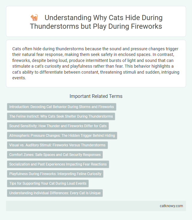 Understanding Why Cats Hide During Thunderstorms but Play During Fireworks