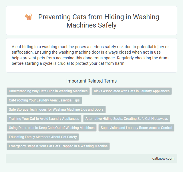 Preventing Cats from Hiding in Washing Machines Safely
