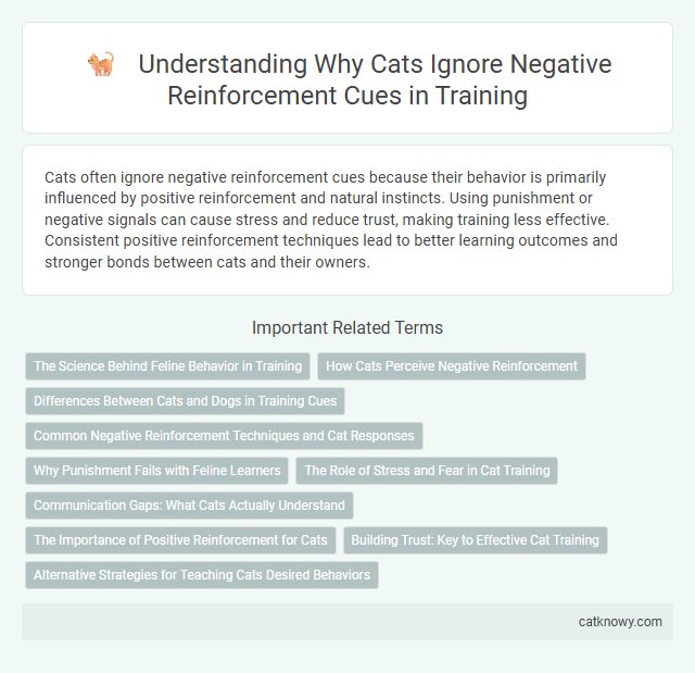 Understanding Why Cats Ignore Negative Reinforcement Cues in Training