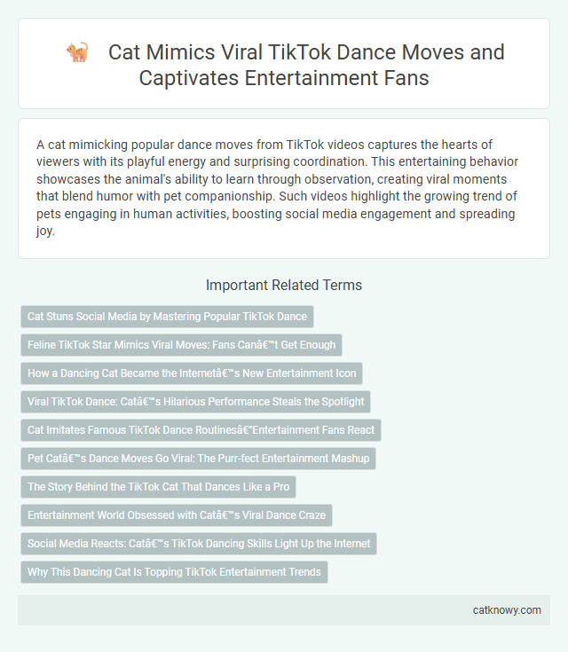 Cat Mimics Viral TikTok Dance Moves and Captivates Entertainment Fans