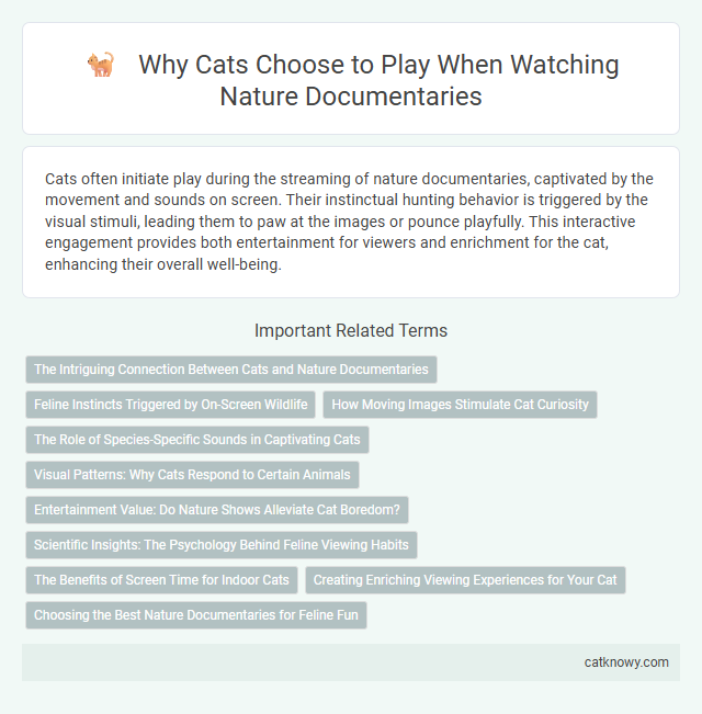 Why Cats Choose to Play When Watching Nature Documentaries