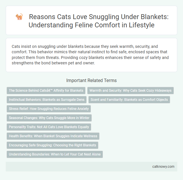 Reasons Cats Love Snuggling Under Blankets: Understanding Feline Comfort in Lifestyle