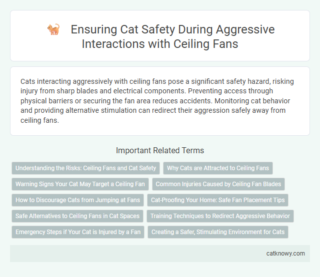 Ensuring Cat Safety During Aggressive Interactions with Ceiling Fans