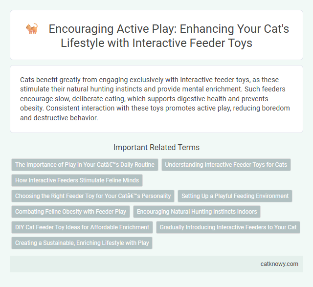 Encouraging Active Play: Enhancing Your Cat's Lifestyle with Interactive Feeder Toys