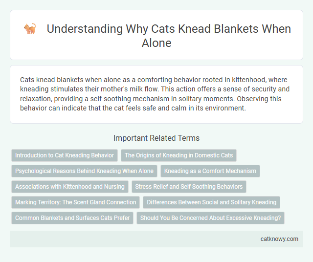 Understanding Why Cats Knead Blankets When Alone