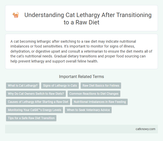 Understanding Cat Lethargy After Transitioning to a Raw Diet