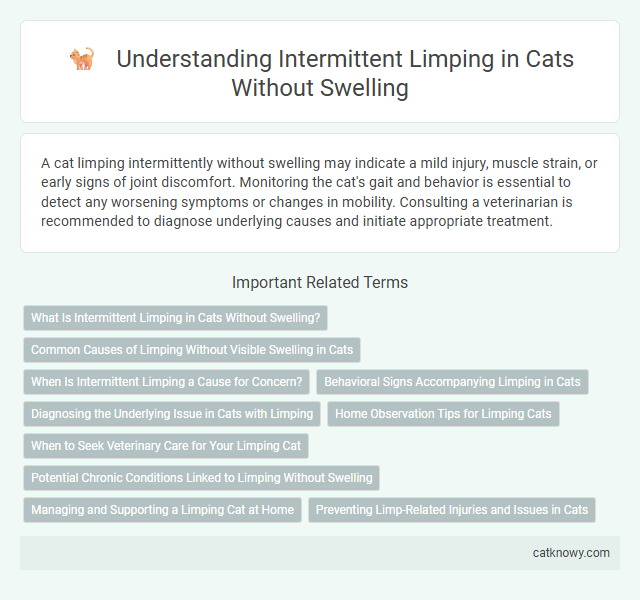 Understanding Intermittent Limping in Cats Without Swelling
