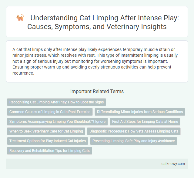 Understanding Cat Limping After Intense Play: Causes, Symptoms, and Veterinary Insights