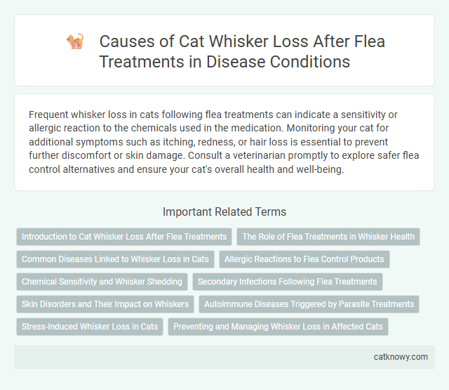 Causes of Cat Whisker Loss After Flea Treatments in Disease Conditions