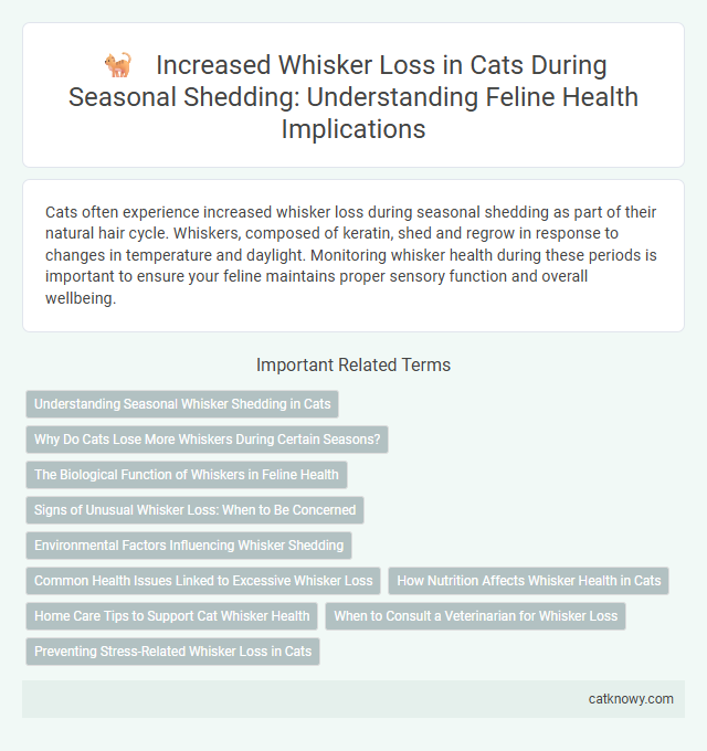 Increased Whisker Loss in Cats During Seasonal Shedding: Understanding Feline Health Implications