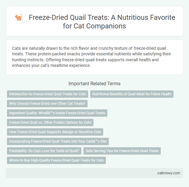 Freeze-Dried Quail Treats: A Nutritious Favorite for Cat Companions