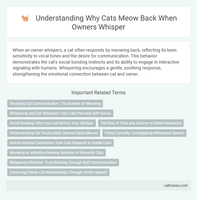 Understanding Why Cats Meow Back When Owners Whisper