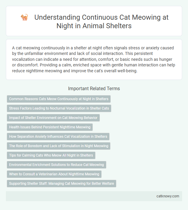Understanding Continuous Cat Meowing at Night in Animal Shelters