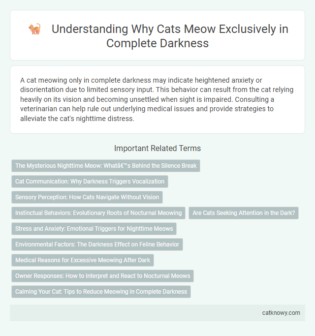 Understanding Why Cats Meow Exclusively in Complete Darkness