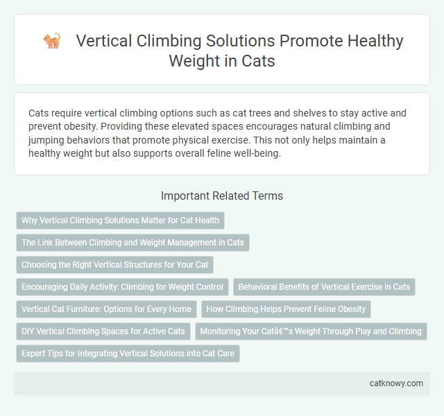 Vertical Climbing Solutions Promote Healthy Weight in Cats