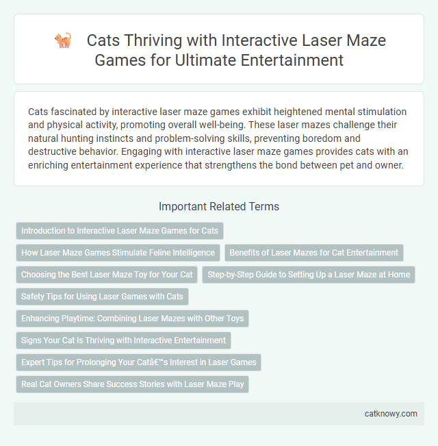 Cats Thriving with Interactive Laser Maze Games for Ultimate Entertainment