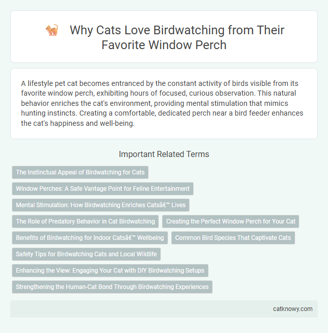 Why Cats Love Birdwatching from Their Favorite Window Perch