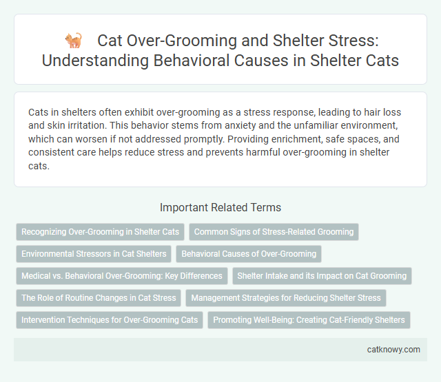 Cat Over-Grooming and Shelter Stress: Understanding Behavioral Causes in Shelter Cats