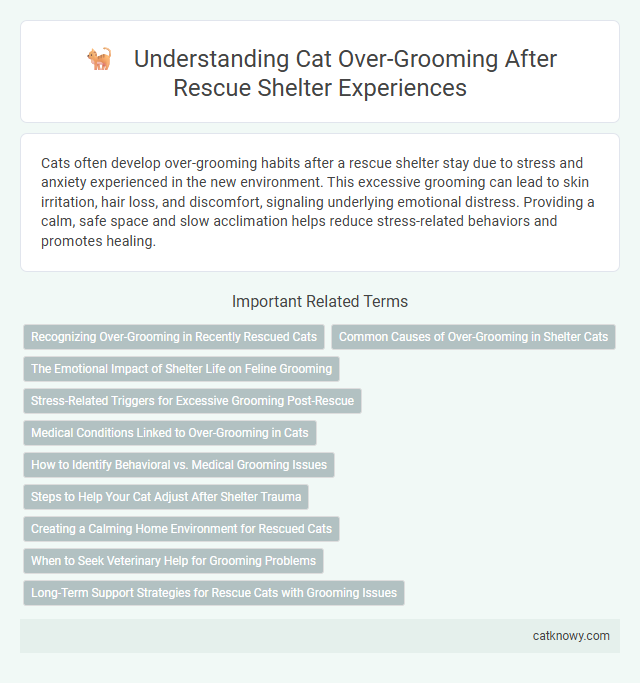 Understanding Cat Over-Grooming After Rescue Shelter Experiences