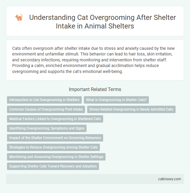 Understanding Cat Overgrooming After Shelter Intake in Animal Shelters