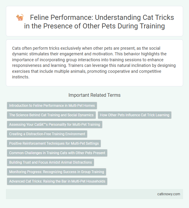 Feline Performance: Understanding Cat Tricks in the Presence of Other Pets During Training