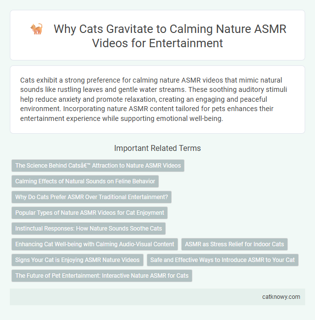Why Cats Gravitate to Calming Nature ASMR Videos for Entertainment