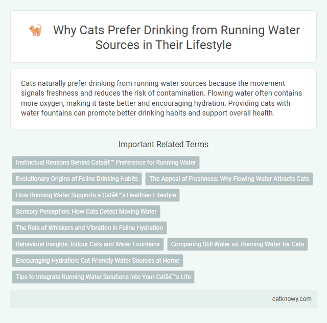 Why Cats Prefer Drinking from Running Water Sources in Their Lifestyle