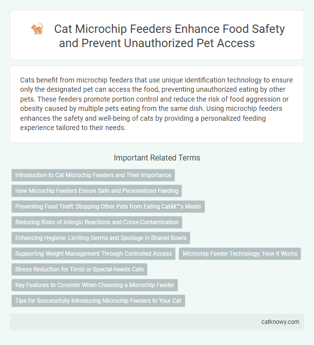 Cat Microchip Feeders Enhance Food Safety and Prevent Unauthorized Pet Access