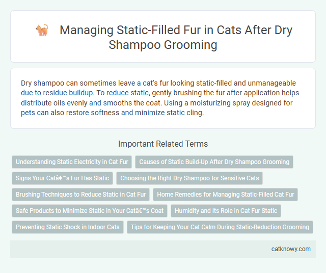 Managing Static-Filled Fur in Cats After Dry Shampoo Grooming