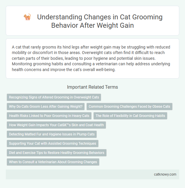 Understanding Changes in Cat Grooming Behavior After Weight Gain