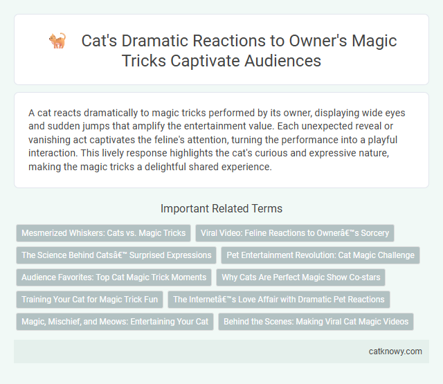 Cat's Dramatic Reactions to Owner's Magic Tricks Captivate Audiences