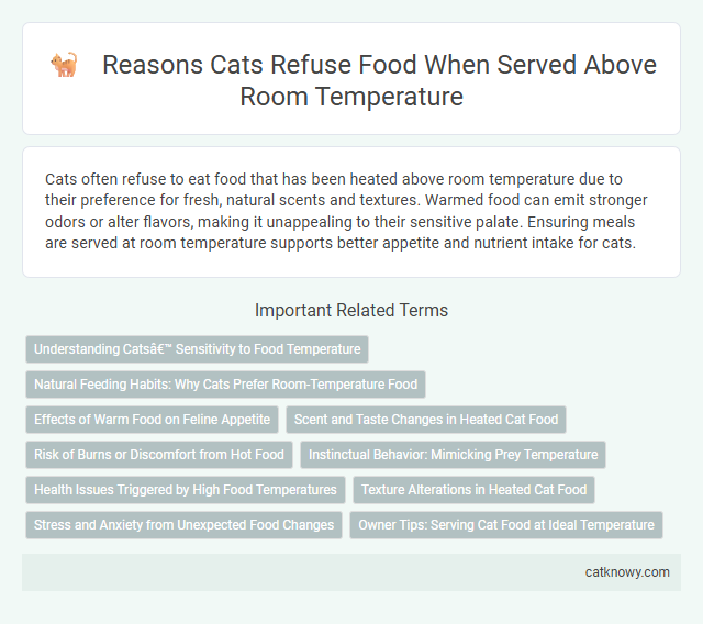 Reasons Cats Refuse Food When Served Above Room Temperature