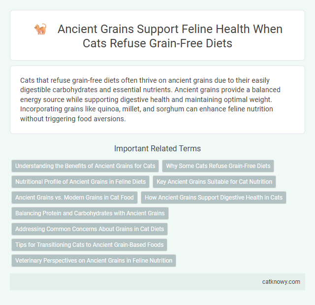 Ancient Grains Support Feline Health When Cats Refuse Grain-Free Diets